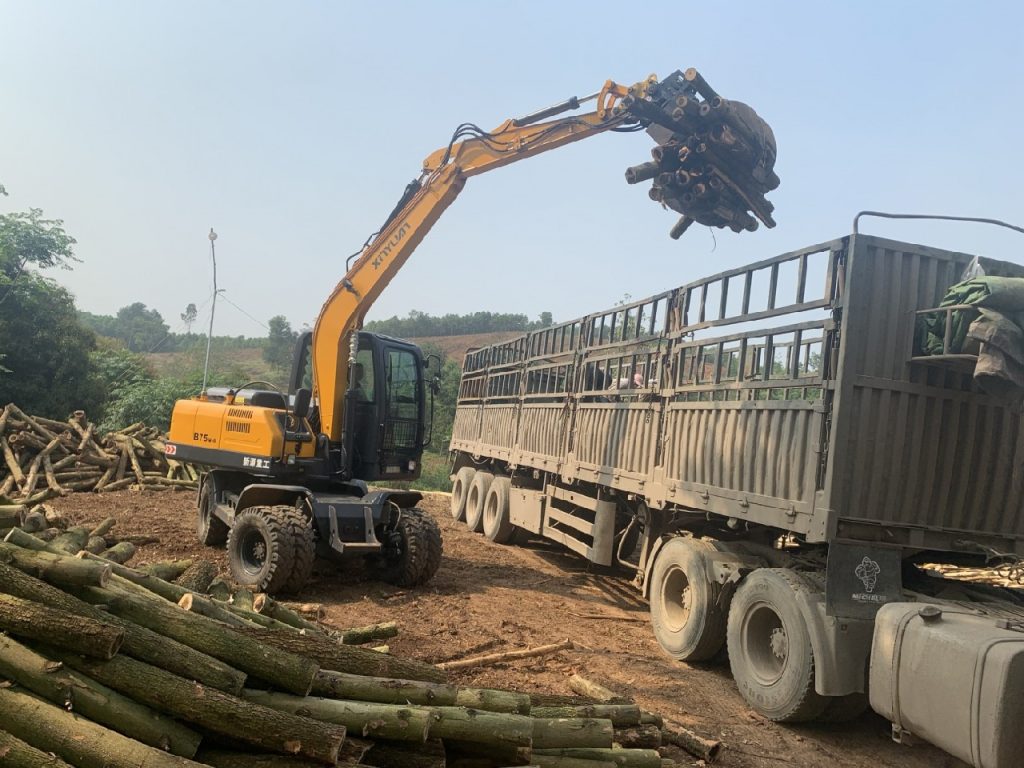 Ảnh minh họa - Máy xúc đào gắp gỗ